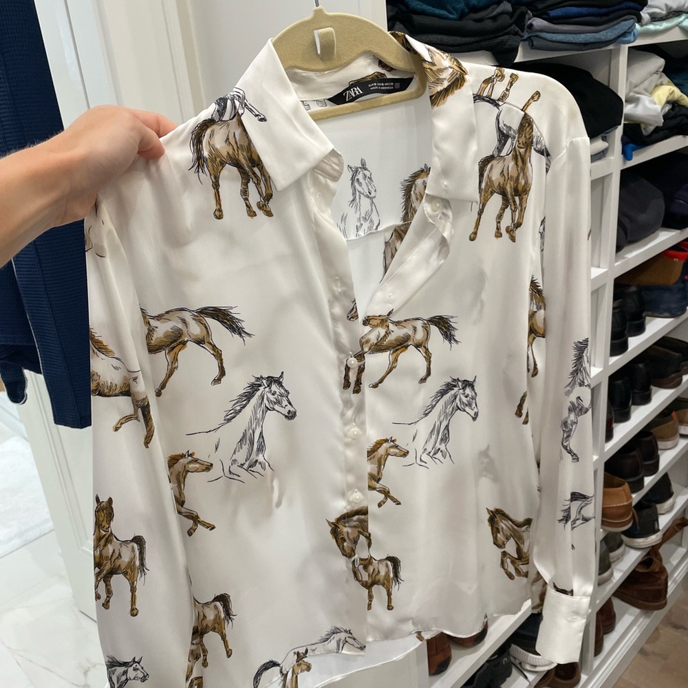 Zara blouse button down